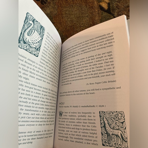 CELTIC TOTEM ANIMALS Book and Cards by John Matthews - Picture 14 of 14